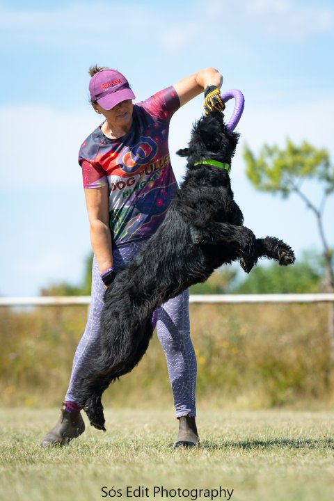 Jumping