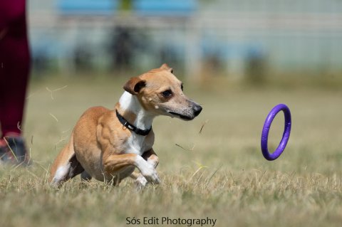 Running