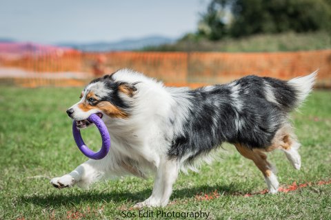 Jumping