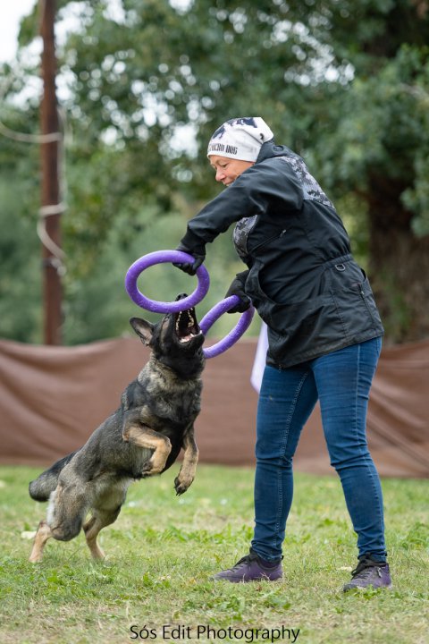 Jumping