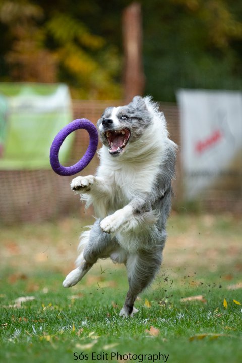 Running