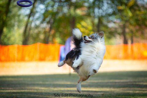 Running