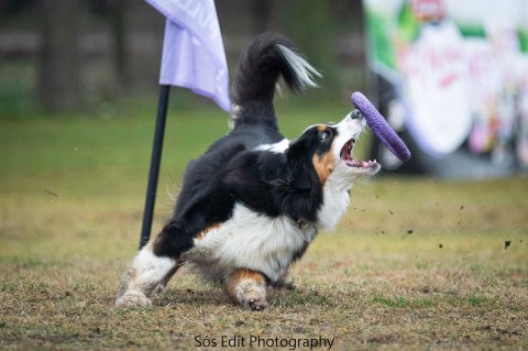 Running