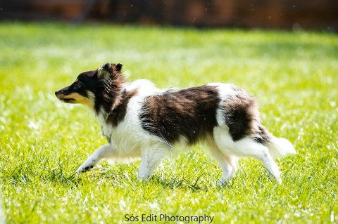 Jumping