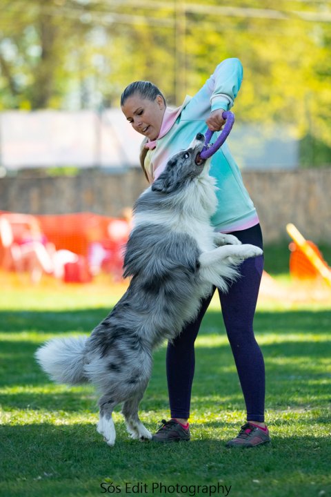 Jumping