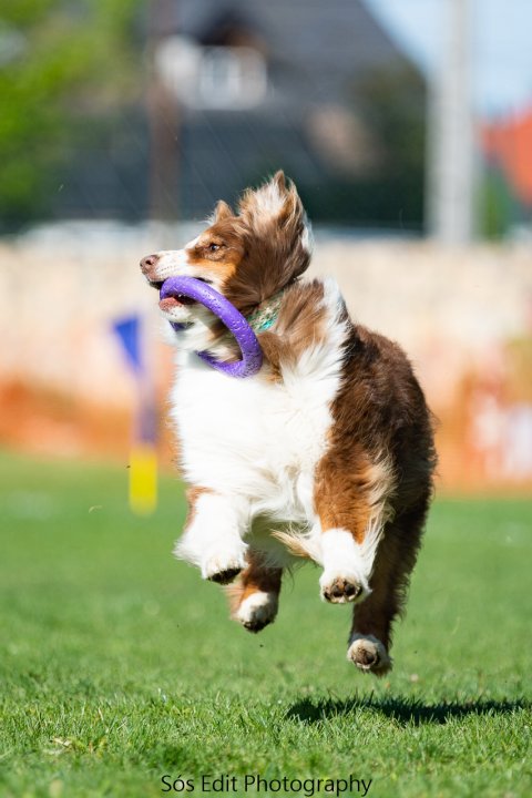 Running