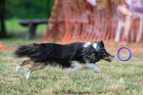 Running