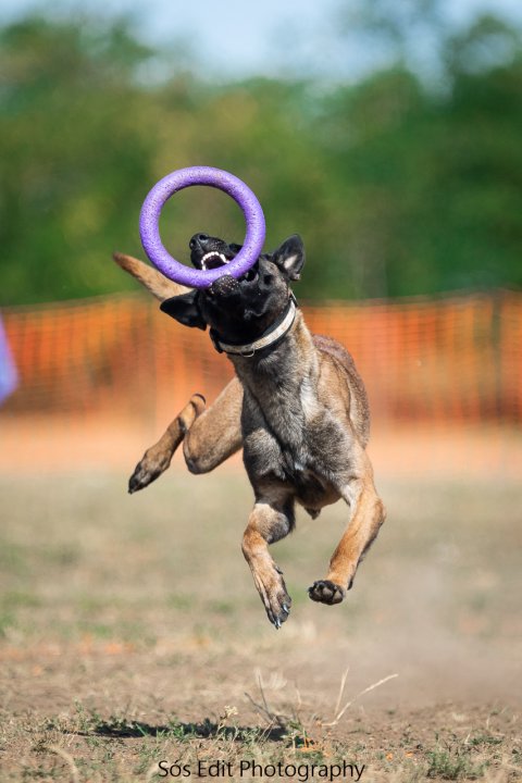Running