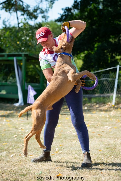 Jumping