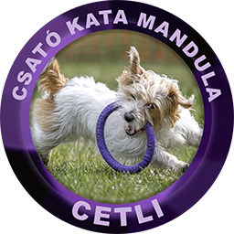 Cetli