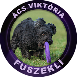 Fuszekli