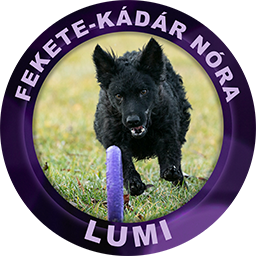 Lumi