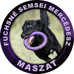 Maszat