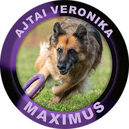 Maximus