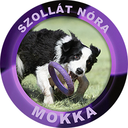 Mokka