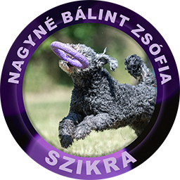 Szikra