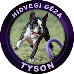 Tyson