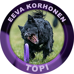 Töpi