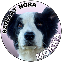 Mokka